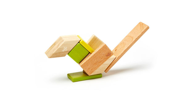 Magnetic Wooden Blocks 14 Piece Set