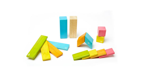 Magnetic Wooden Blocks 14 Piece Set