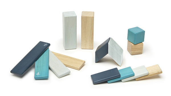 Magnetic Wooden Blocks 14 Piece Set