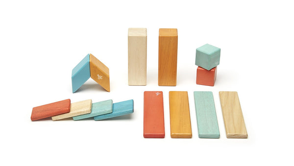 Magnetic Wooden Blocks 14 Piece Set