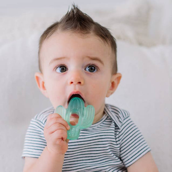 Itzy Ritzy Cutie Coolers Cactus Water Teethers - 3 pack