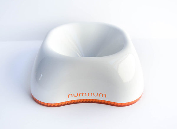 NumNum Beginner Bowl