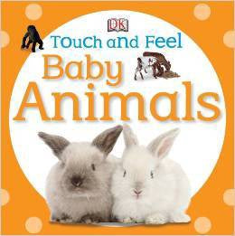 Touch and Feel Book
